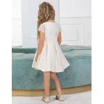 IVORY LACE SILK DRESS