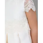 IVORY LACE SILK DRESS